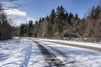 Canadian Road Landscape with Snow and Trees