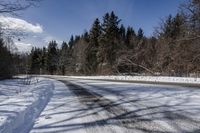 Canadian Road Landscape with Snow and Trees