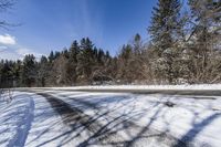 Canadian Road Landscape with Snow and Trees