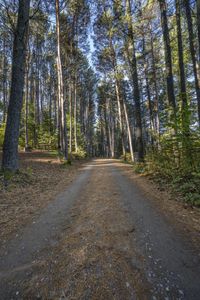 Canadian Road Landscape in Toronto, Ontario