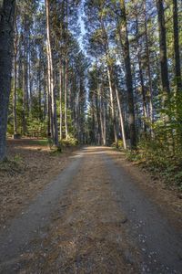 Canadian Road Landscape in Toronto, Ontario