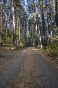 Canadian Road Landscape in Toronto, Ontario