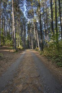 Canadian Road Landscape in Toronto, Ontario