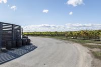 Canadian Road in Ontario: Daytime Under Clear Skies