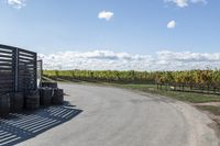 Canadian Road in Ontario: Daytime Under Clear Skies