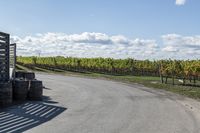 Canadian Road in Ontario: Daytime Under Clear Skies