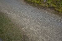 a road is shown with two motorcycles parked near by it and several trees at different angles