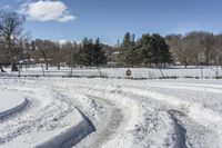 A Canadian Road: Snow-Covered Trees and Nature