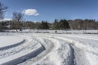 A Canadian Road: Snow-Covered Trees and Nature