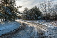 a snow covered road surrounded by tall evergreen trees and pines on the side of a hill