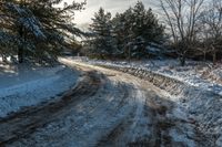 a snow covered road surrounded by tall evergreen trees and pines on the side of a hill