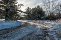 a snow covered road surrounded by tall evergreen trees and pines on the side of a hill