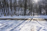 snow covers the road, and a yellow caution sign is out in the woods behind it