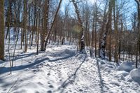 a trail of snow on a snowy surface in the woods of a wooded area,