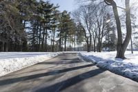 Canadian Road: Surrounded by Snowy Forest in Ontario