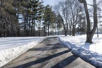 Canadian Road: Surrounded by Snowy Forest in Ontario