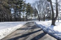 Canadian Road: Surrounded by Snowy Forest in Ontario