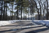 Canadian Road: Surrounded by Snowy Forest in Ontario