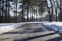 Canadian Road: Surrounded by Snowy Forest in Ontario