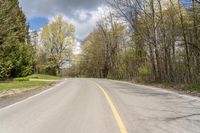 Canadian Road Surrounded by Trees and Vegetation 001