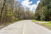 a tree lined empty country road next to wooded area with no leaves on the trees