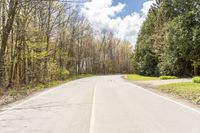 a tree lined empty country road next to wooded area with no leaves on the trees