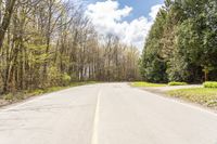 a tree lined empty country road next to wooded area with no leaves on the trees