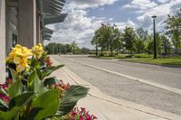 Canadian Road in Toronto: A Day on the Asphalt