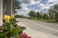 Canadian Road in Toronto: A Day on the Asphalt