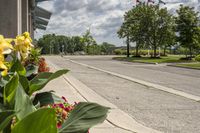 Canadian Road in Toronto: A Day on the Asphalt