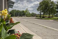 Canadian Road in Toronto: A Day on the Asphalt