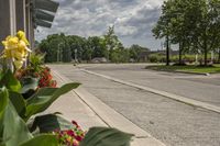 Canadian Road in Toronto: A Day on the Asphalt