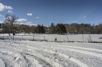 a field is covered in snow next to a park with trees, bushes and a fence