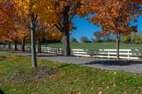 an autumn day on the road lined with trees and fenced in benches and lawns