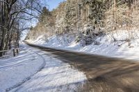 a country road covered in snow surrounded by trees with no tops or leaves on the road