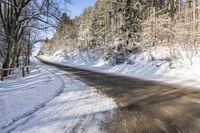 a country road covered in snow surrounded by trees with no tops or leaves on the road