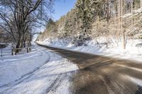 a country road covered in snow surrounded by trees with no tops or leaves on the road