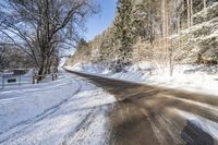 a country road covered in snow surrounded by trees with no tops or leaves on the road