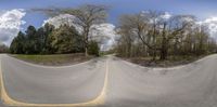 this is a very fish eye view of the two roads in the sky and a few trees