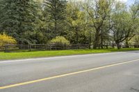 trees are standing on either side of a road, surrounded by fenced area with wooden fences