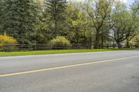 trees are standing on either side of a road, surrounded by fenced area with wooden fences