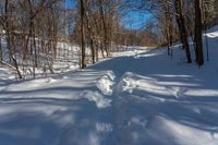 the tracks are shaped by tree shadows in the snow of a path through the woods