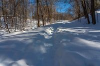 the tracks are shaped by tree shadows in the snow of a path through the woods