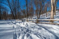 a path is partially covered in fresh snow during the winter months with a wooden fence on both sides