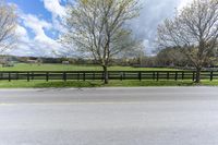 a horse standing next to a fence on a street in a pasture area with a road nearby