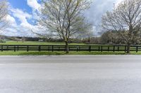 a horse standing next to a fence on a street in a pasture area with a road nearby