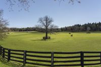 a large field that has a wooden fence in it that separates the green field and black fence around the horse