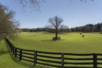 a large field that has a wooden fence in it that separates the green field and black fence around the horse