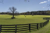 a large field that has a wooden fence in it that separates the green field and black fence around the horse