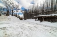 this is the road going down to the snow covered park area under a blue sky and white clouds